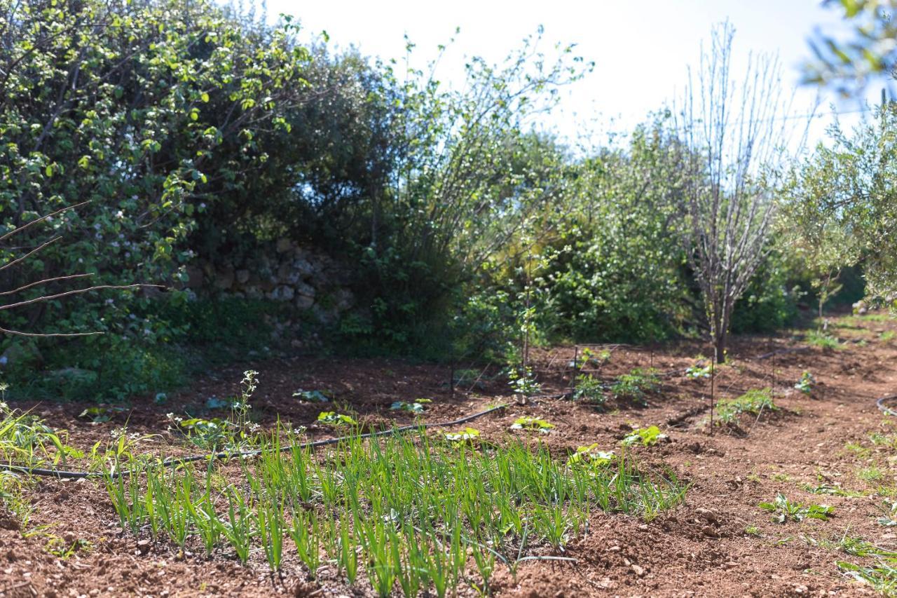 Villa Eden'S Garden Skouloúfia Esterno foto